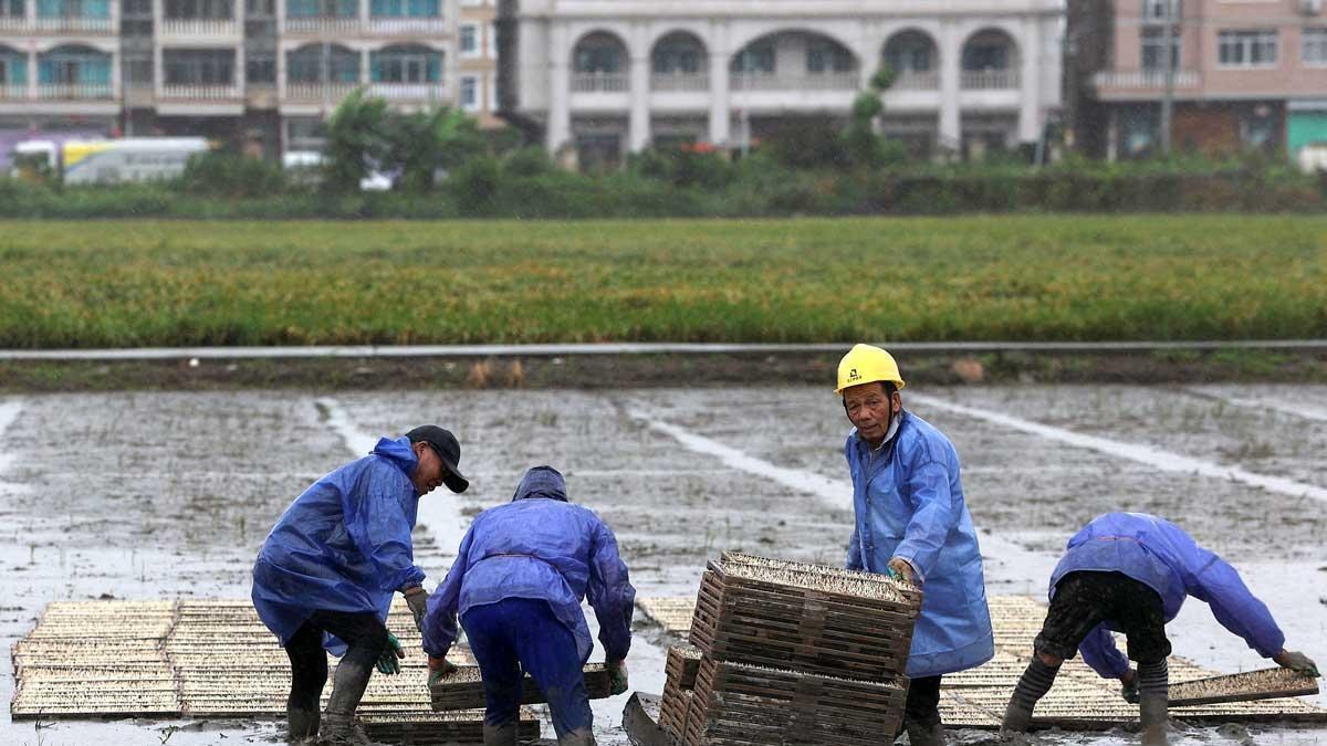 China evacúa a casi 2 millones por tifón Bavi