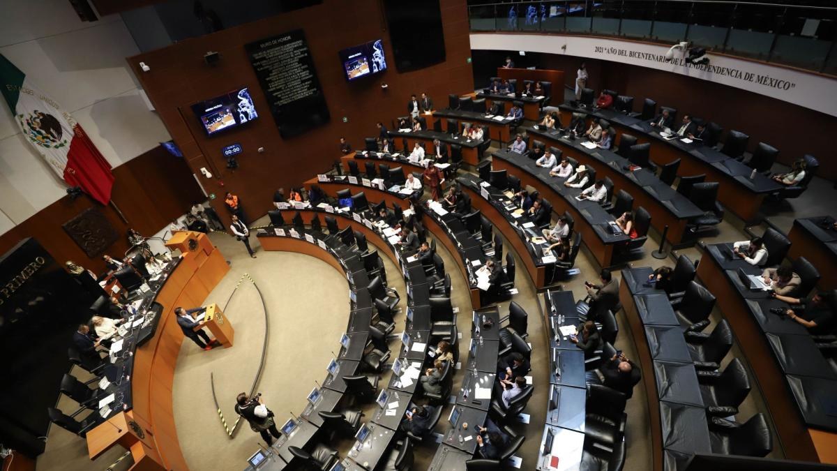 Senado mexicano protesta por muerte de Lorenzo Salgado