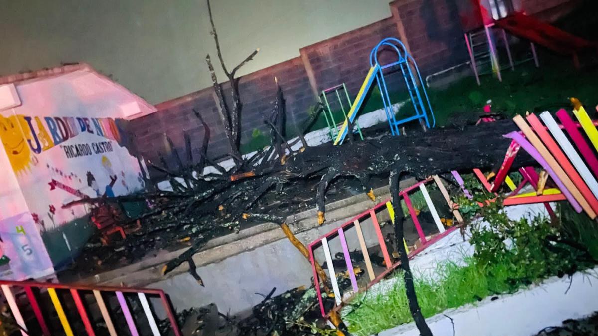 Cae árbol en kínder de Pueblo Nuevo, Durango