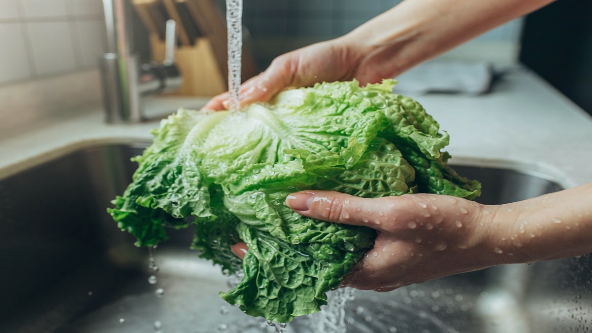 Lechuga mexicana vinculada a brote de ciclosporiasis en EU