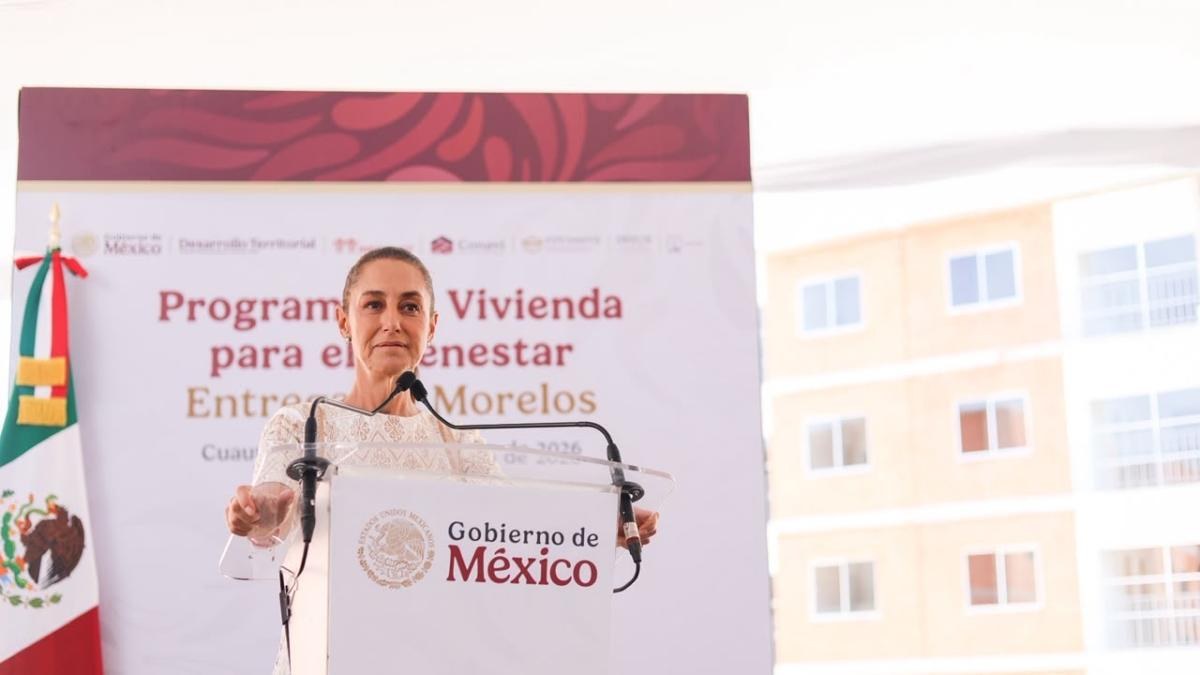 Gobierno prepara liberación de moscas contra gusano barrenador