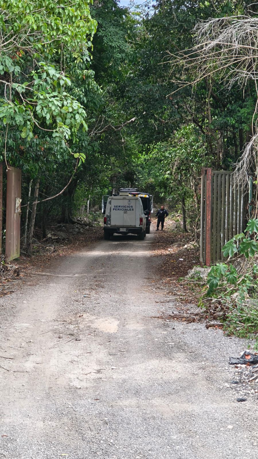 Hombre muere ahogado en estanque de tilapias en Playa del Carmen