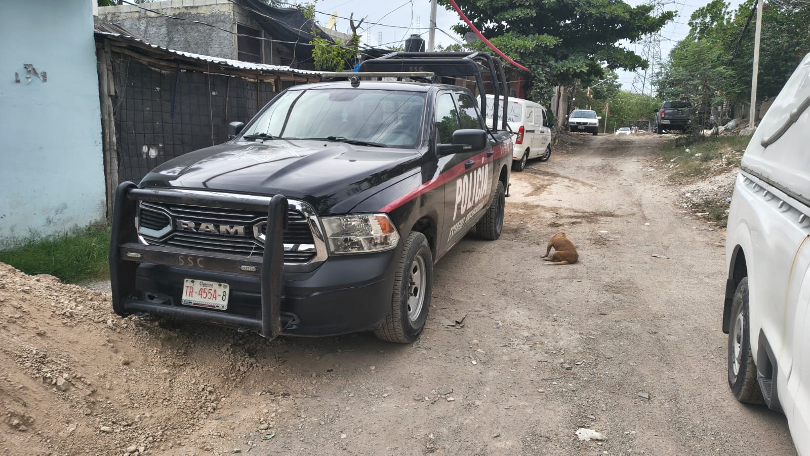 Hallan dos cuerpos en Playa del Carmen en zona irregular