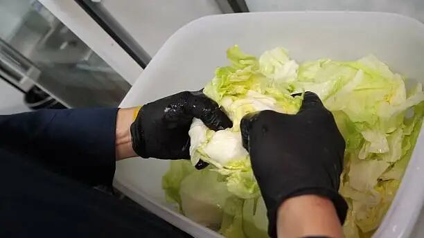 Taco Bell retira lechuga mexicana por brote en EU
