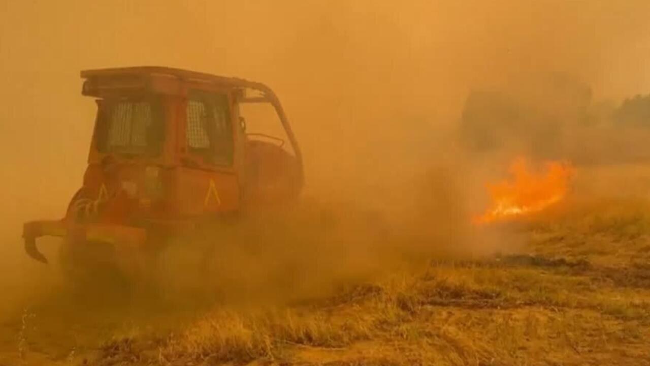 Bomberos controlan incendios en España ante ola de calor
