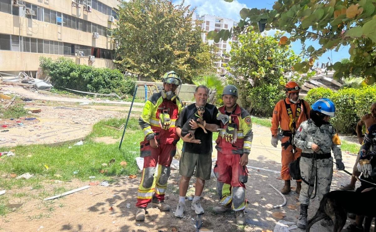 Ejército rescata viva a perrita entre escombros en Venezuela