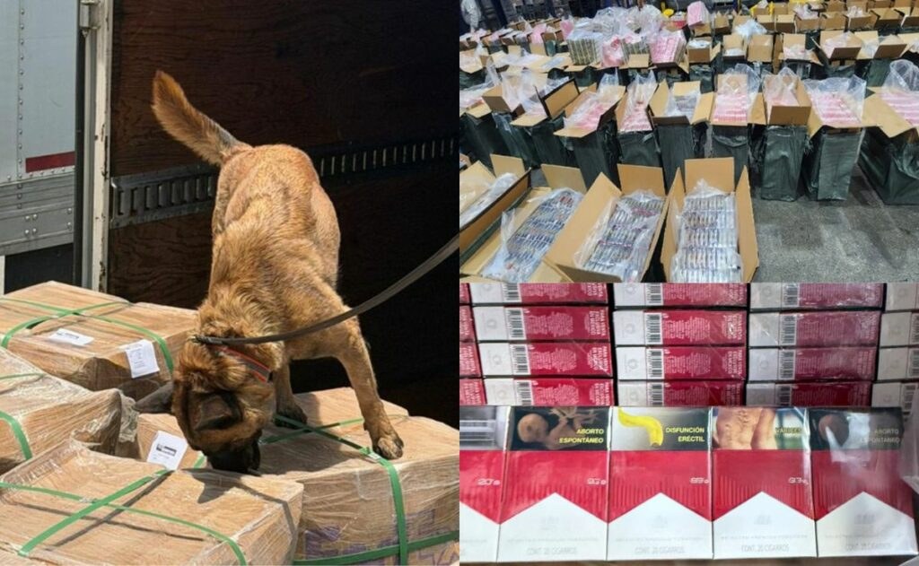 Aseguran más de 156 toneladas de mercancía ilícita en AICM