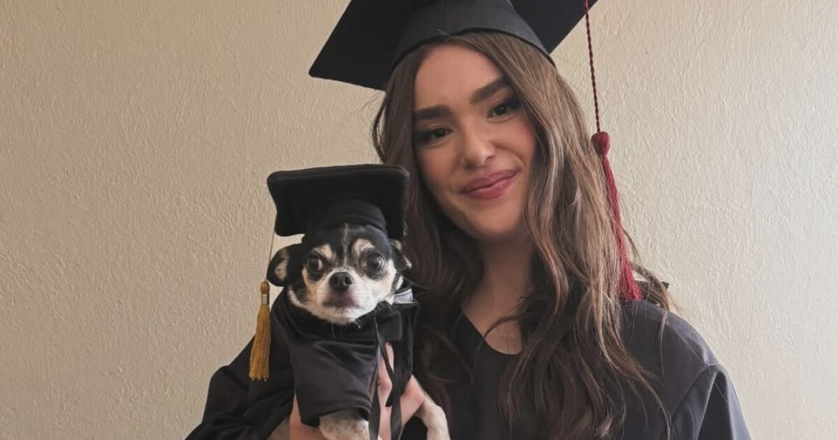 Emily Álvarez se gradúa de preparatoria; ausente 'El Canelo'