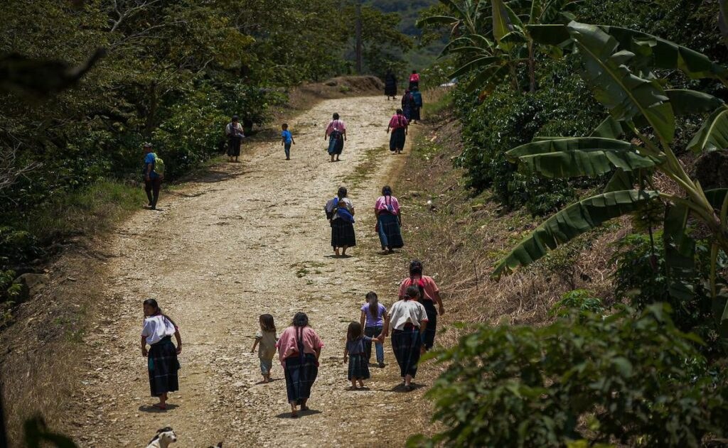 Indígenas de Chiapas denuncian persecución y despojo territorial