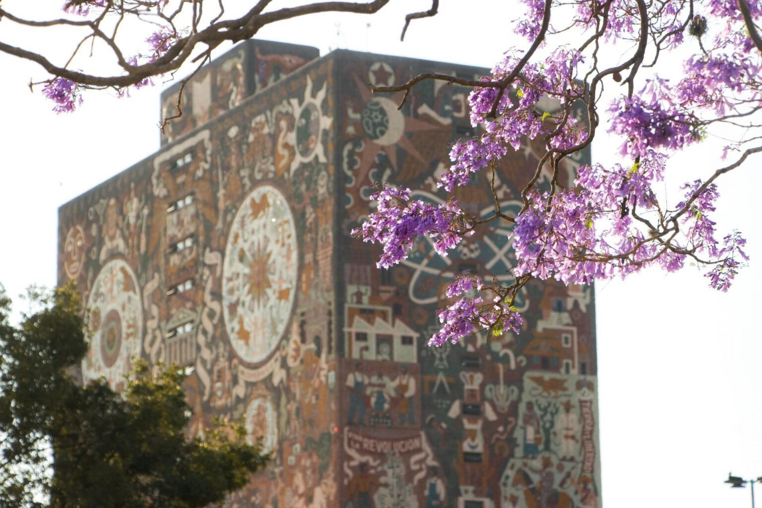 Territorium defiende plataforma del examen UNAM 2026