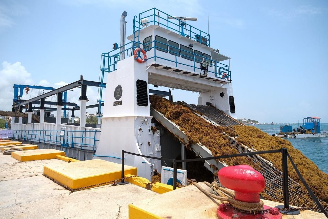 Gobierno destina 2 mil mdp para atender sargazo en Quintana Roo