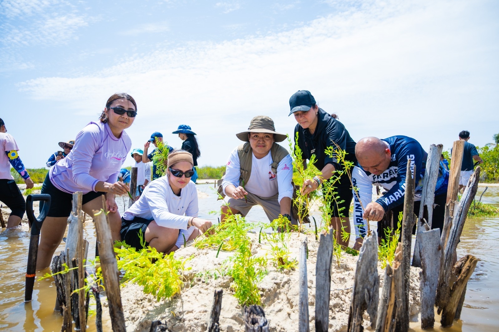 Jornada de restauración de manglar en Punta Sur, Cozumel