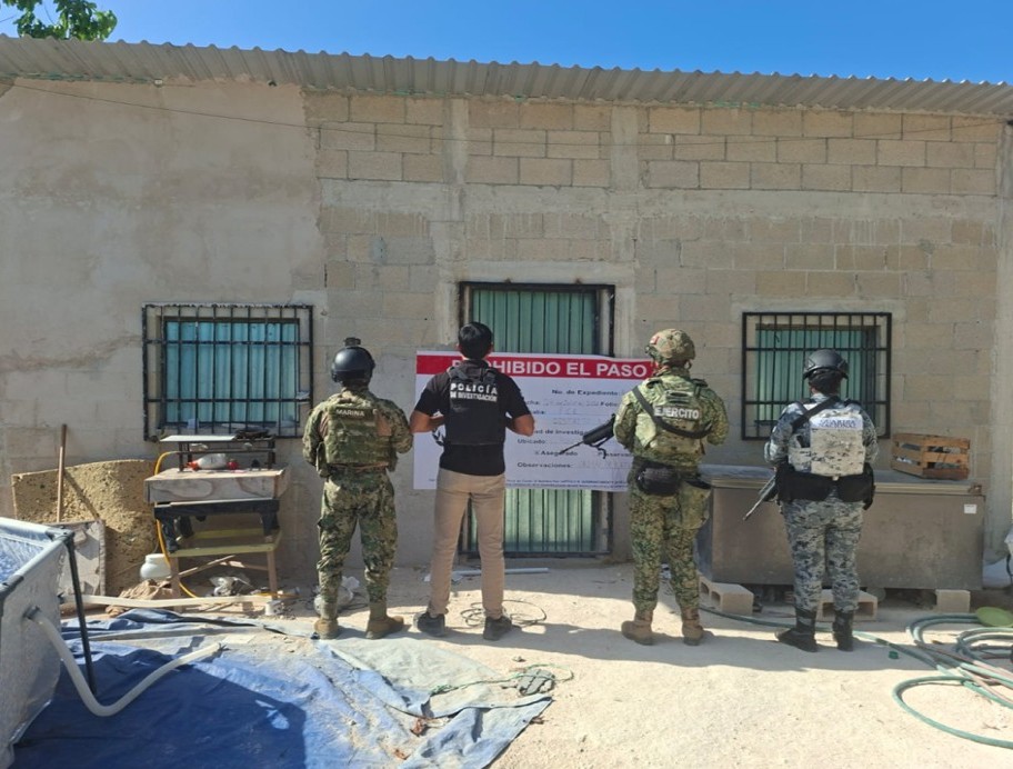Desmantelan dos narcoviveros en Benito Juárez y Playa del Carmen