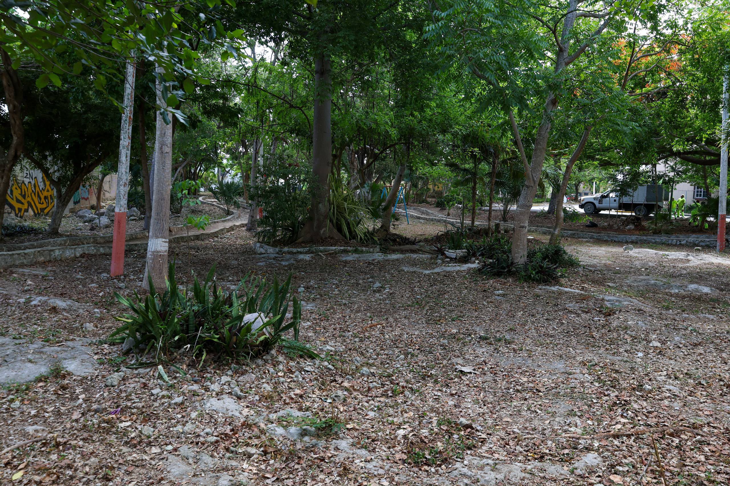 Benito Juárez mejora parques y calles con mantenimiento
