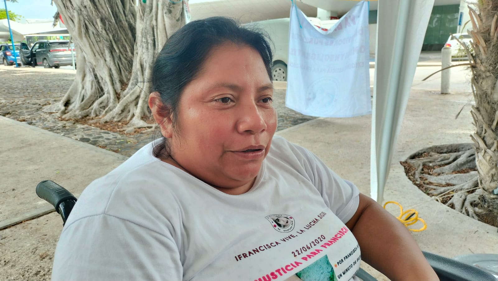 Ex fiscal acepta culpa en caso Francisca Mariner