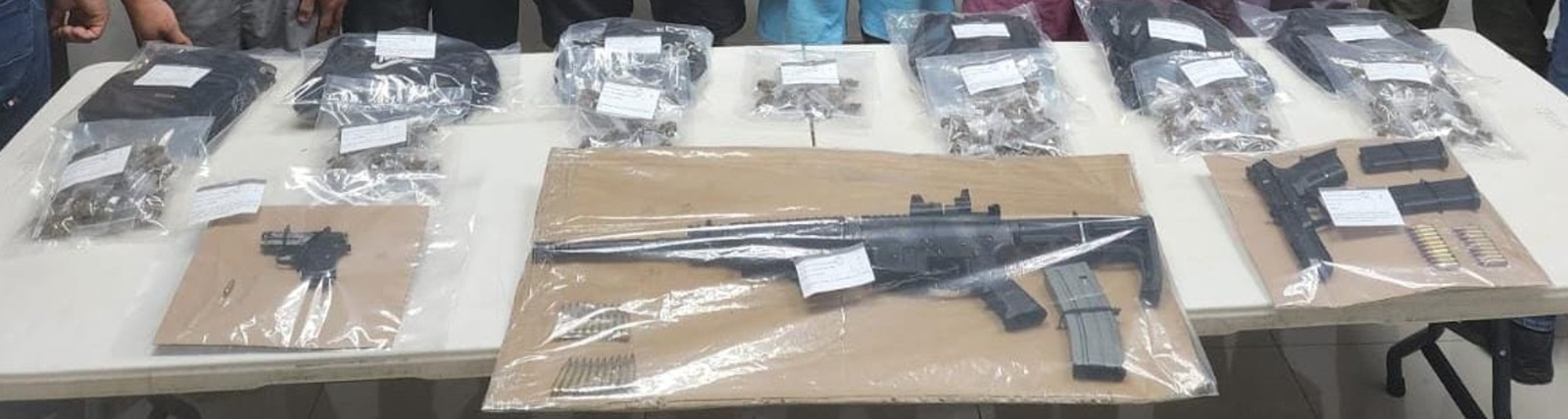 Desmantelan dos narcoviveros en Benito Juárez y Playa del Carmen