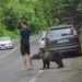 VIDEO: ¡Ni cuenta se dio! Oso lo muerde y su reacción sorprende