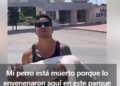 VIDEO: Parque públicos un peligro para las mascotas; las están envenenando Tulum