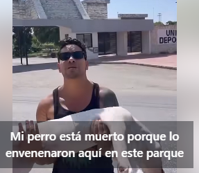 VIDEO: Parque públicos un peligro para las mascotas; las están envenenando Tulum