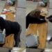 VIDEO😳 Mujer intenta robar, queda semidesnuda y vuelve por insólita razón