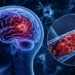 Científicos detectan por primera vez microtrombos que agravan el Alzheimer