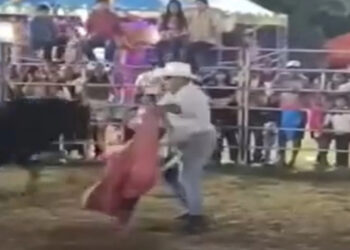 VIDEO; Alcalde de Tepakán, Yucatán es embestido por una vaquilla