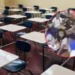VIDEO🚨 Alumna hiere a siete estudiantes en escuela de Filipinas