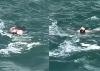 VIDEO | Rescatan con vida a un hombre tras caer en las Cataratas del Niágara