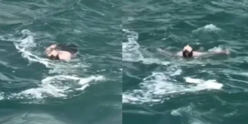 VIDEO | Rescatan con vida a un hombre tras caer en las Cataratas del Niágara