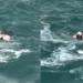 VIDEO | Rescatan con vida a un hombre tras caer en las Cataratas del Niágara