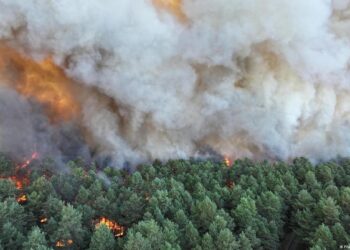Incendio forestal cerca de París moviliza aviones del Sena
