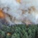Incendio forestal cerca de París moviliza aviones del Sena