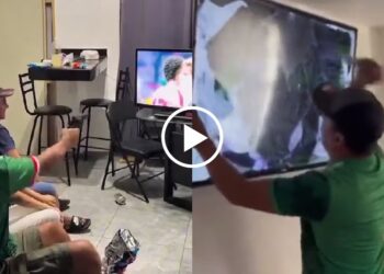 VIDEO: Los momentos más virales de aficionados mexicanos tras la derrota