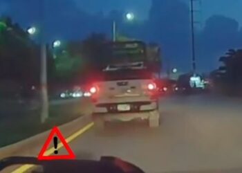 VIDEO: Agentes de tránsito atropellan perrito en Cancún