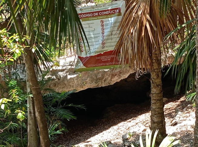 Contaminación afecta casi todos los cenotes urbanos en Playa del Carmen
