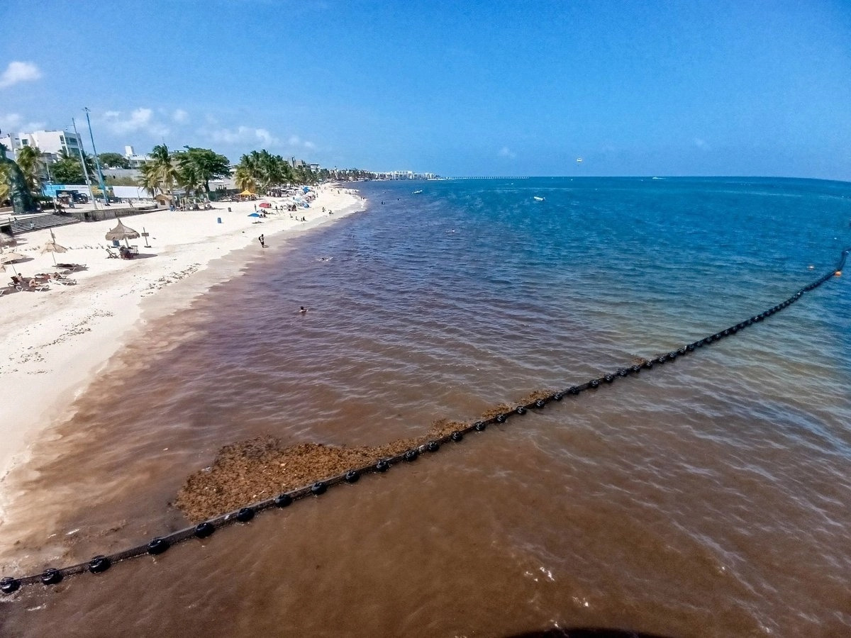Hoteleros de Cancún rechazan invertir en recolección de sargazo