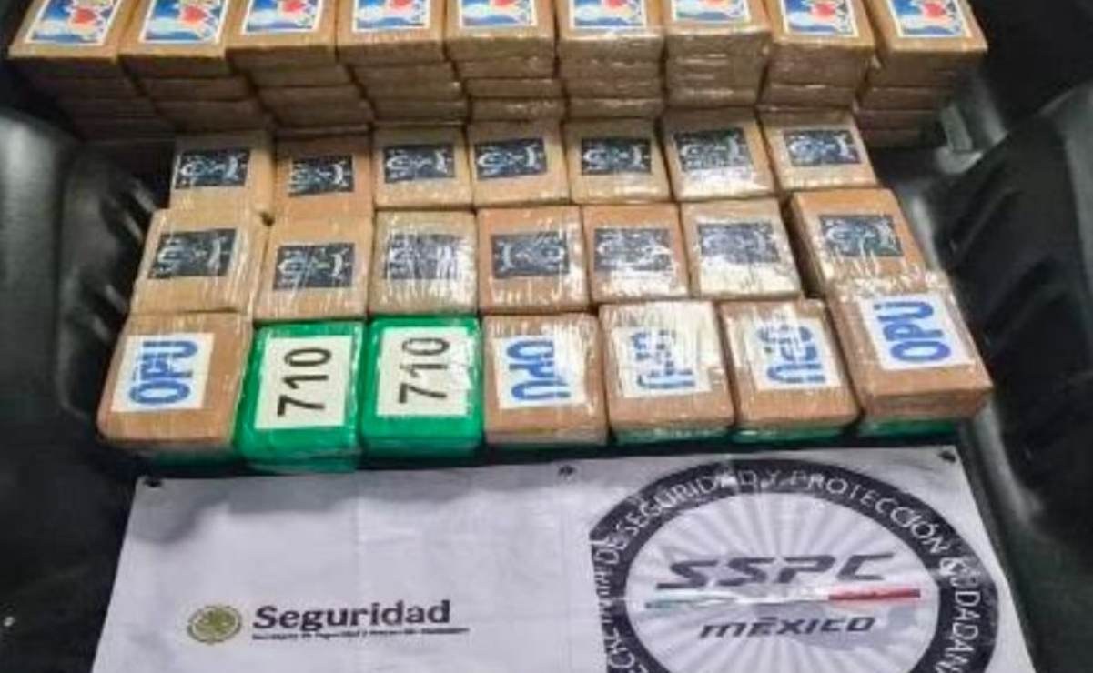 Detienen en Tlalpan a persona con 217 kg de cocaína