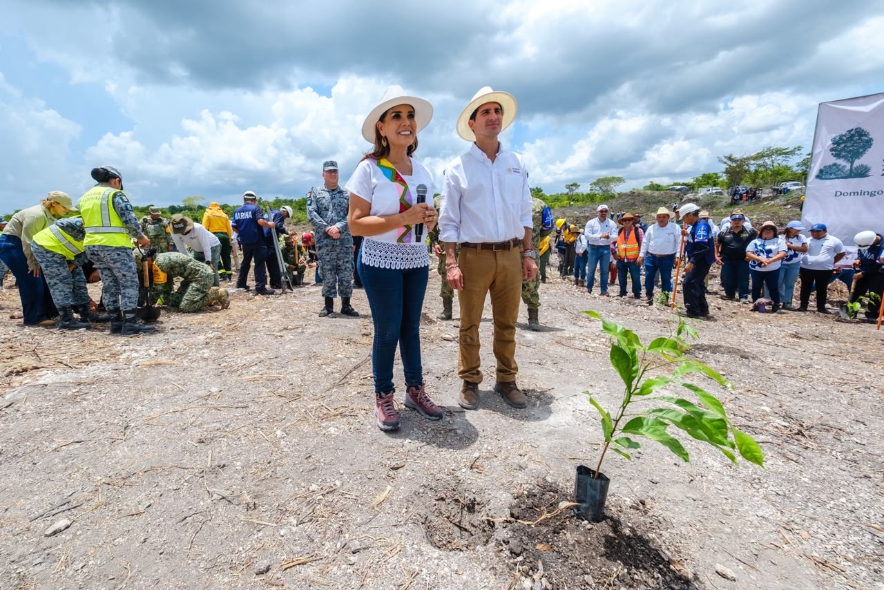 Quintana Roo se suma a programa nacional de reforestación