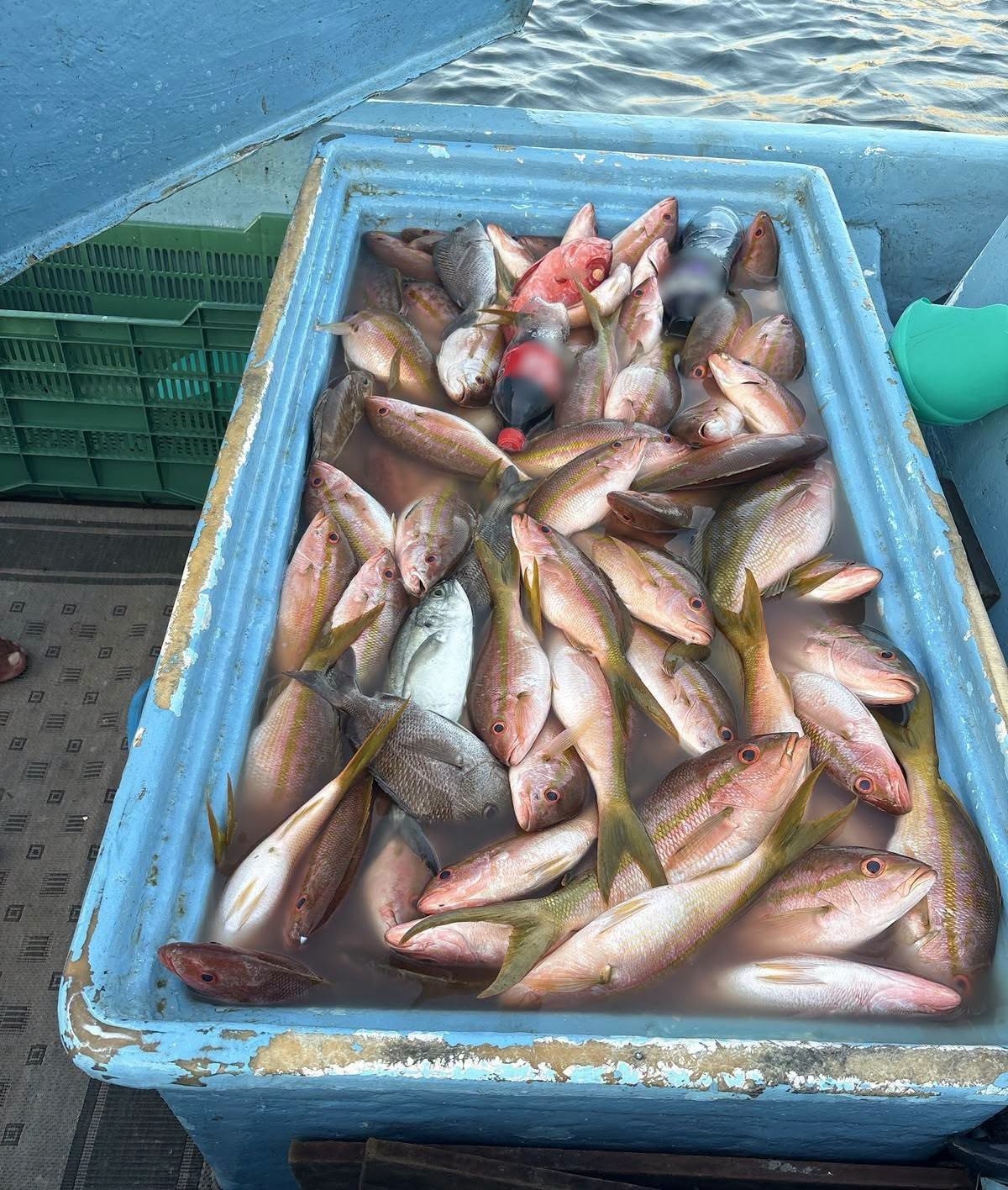 Retienen embarcaciones por pesca sin permisos en Puerto Juárez