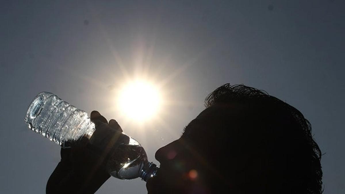 Mueren 75 personas por calor en México hasta agosto