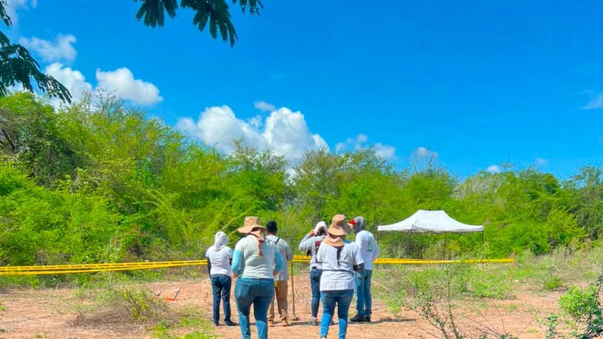 Nayarit registra aumento del 227% en desapariciones en 2026