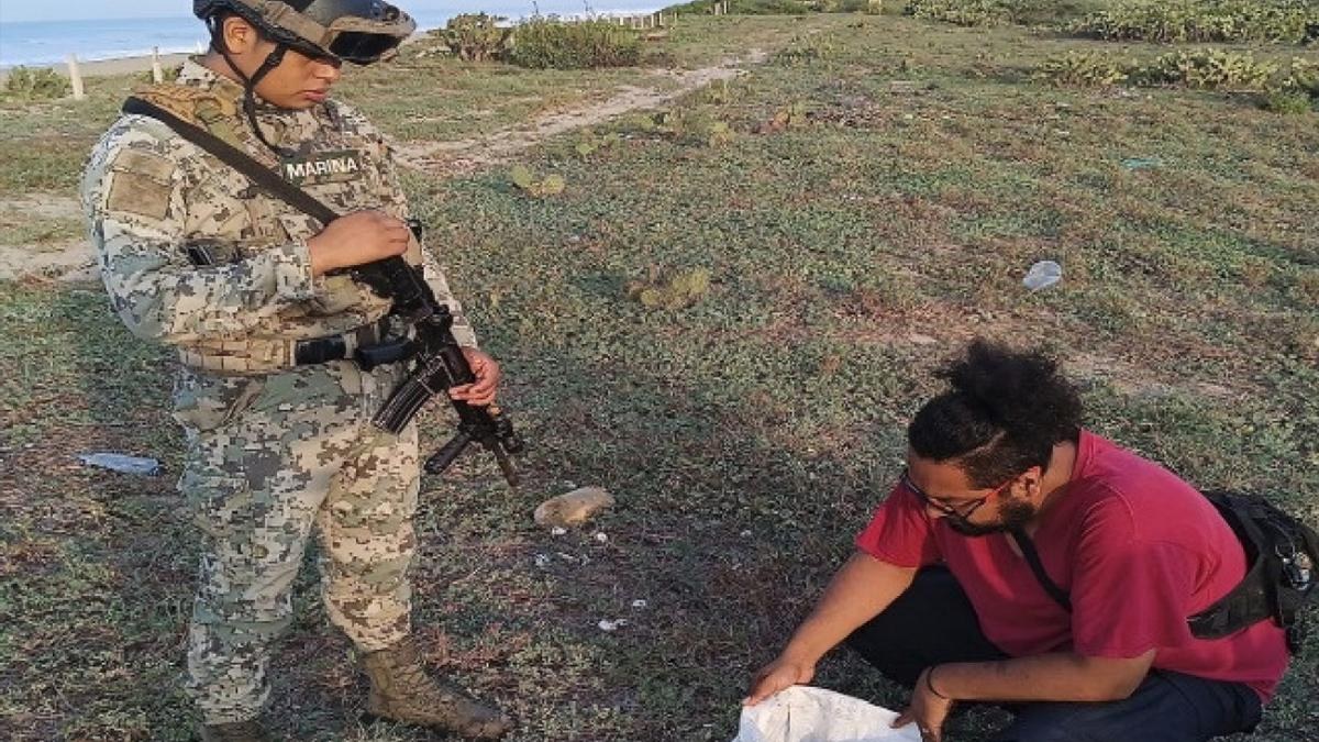 Marina y Profepa recuperan 5,100 huevos de tortuga golfina