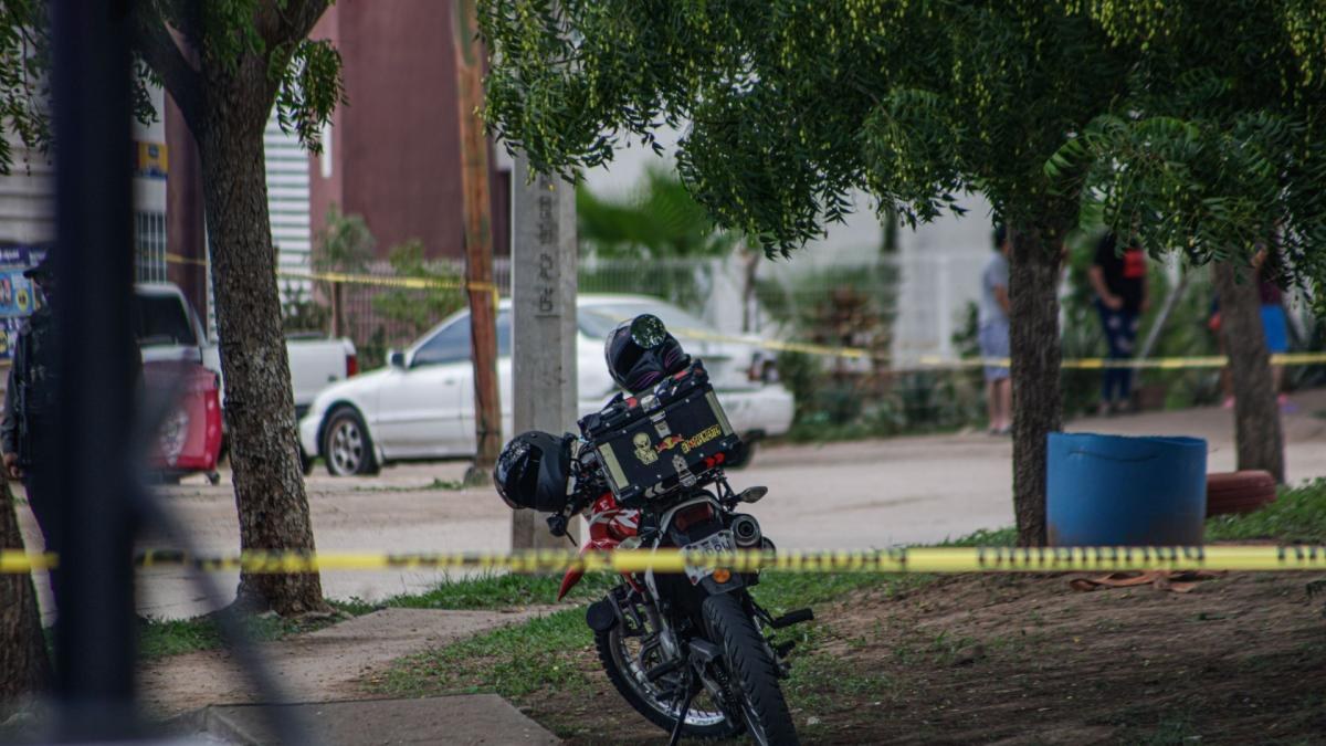 Sheinbaum reporta reducción de homicidios del 51% en México