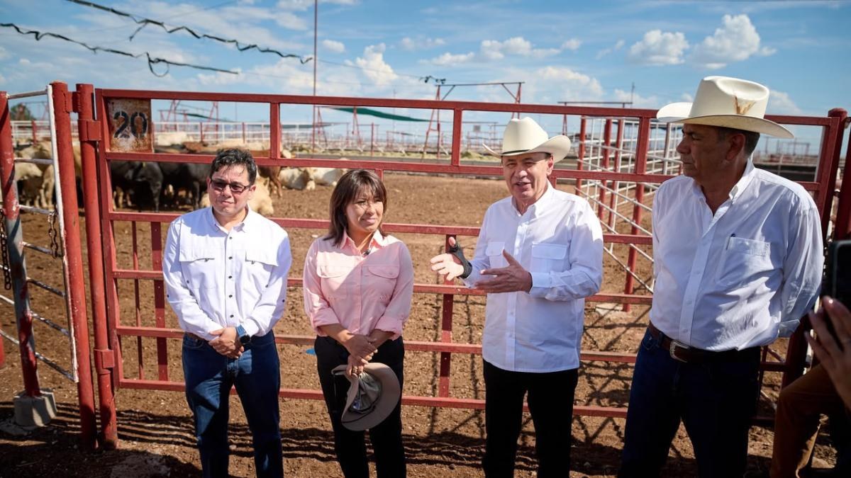 Sonora reactiva exportación de ganado a EU desde Agua Prieta