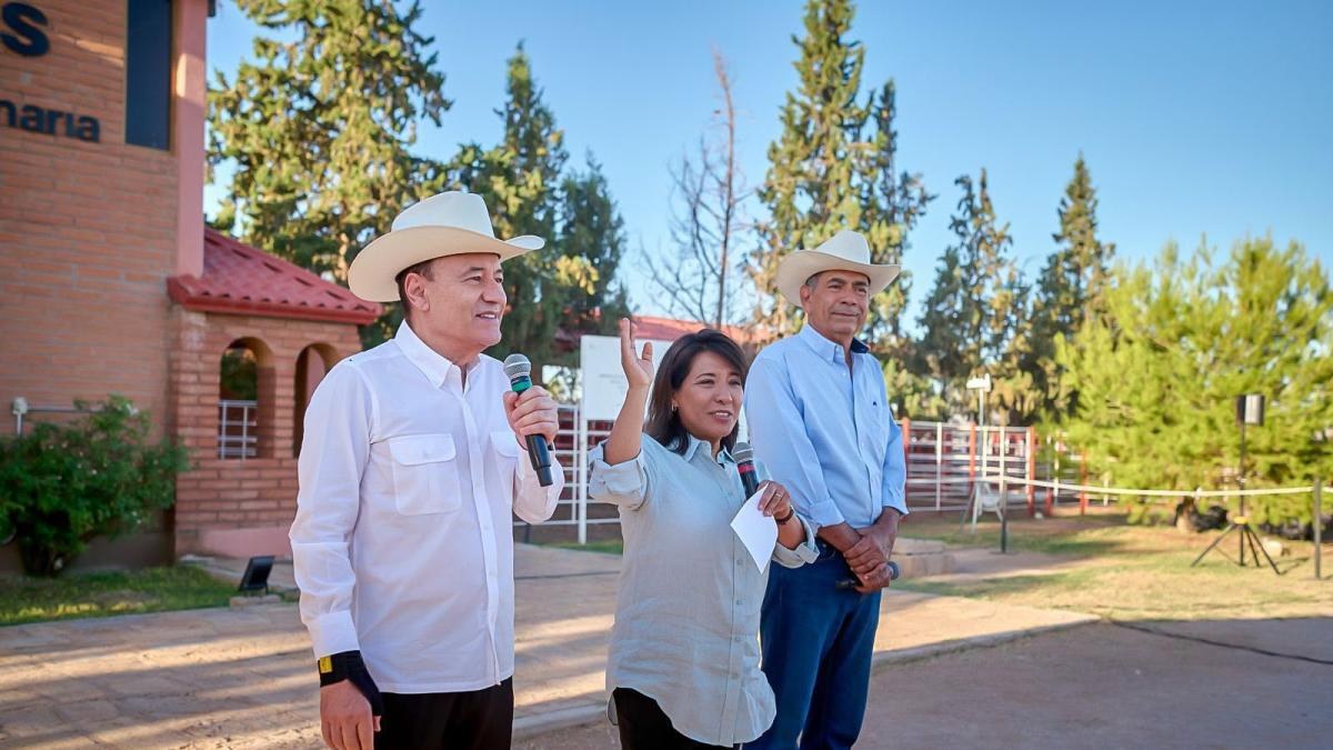 Sonora reabre exportación ganadera a EU por Agua Prieta