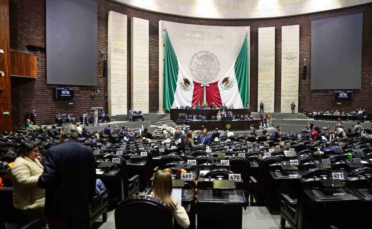 Diputada de Morena propone 20% candidaturas para jóvenes