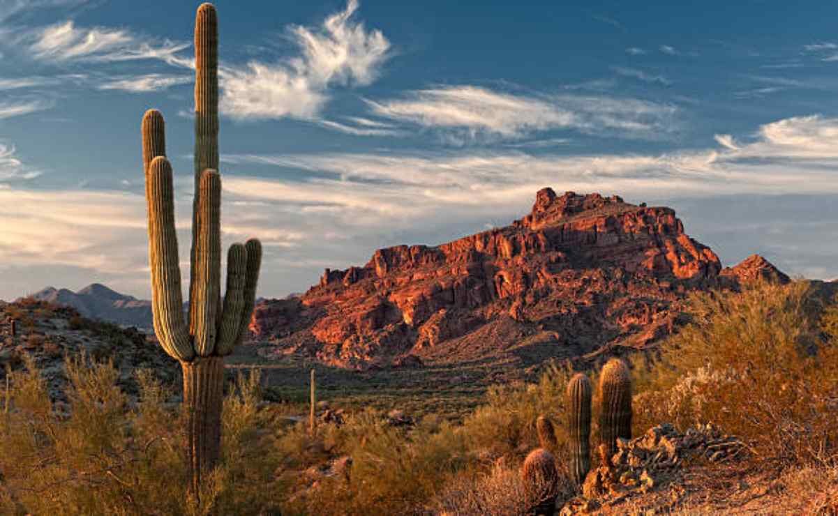 Hallan 73 cadáveres de migrantes en desierto de Arizona