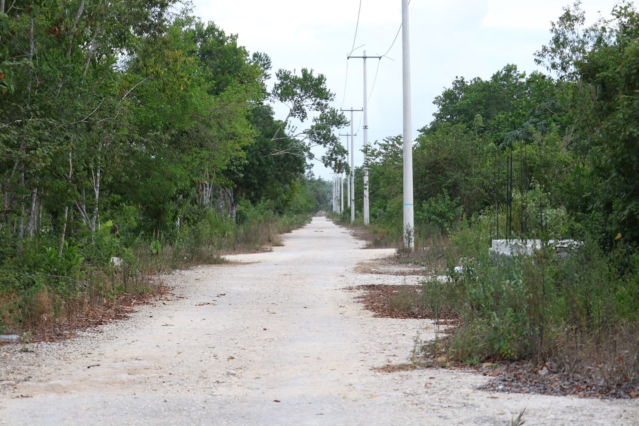 Clausuran desarrollo irregular Mayorales en Cancún