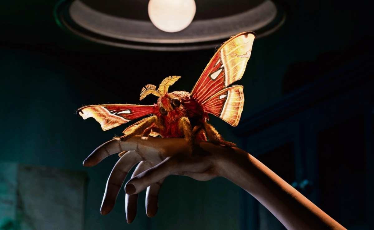 Sofía Carrillo prepara filme stop motion sobre insectos