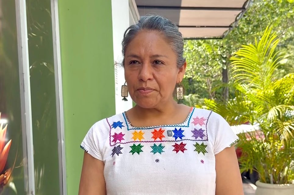 Hallan crías de tortuga en basura de Tulum